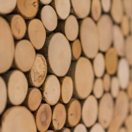 Gaestehaus Carola 3* Oberstdorf